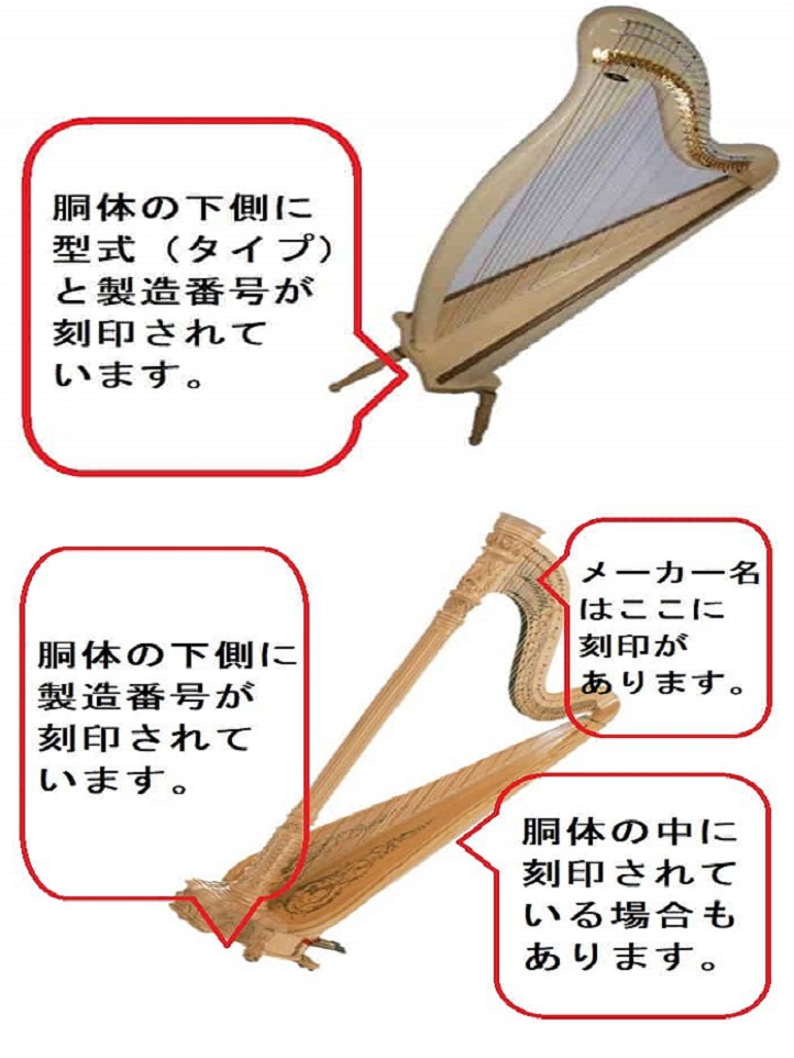 ハープの底板を調べる